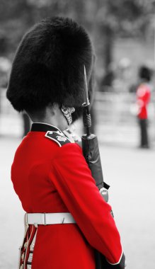 Queen's Soldier at Queen's Birthday Parade clipart
