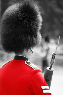 Kraliçe'nin asker, Kraliçe'nin doğum günü geçit töreni