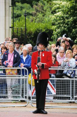 Queen's Soldier at Queen's Birthday Parade clipart