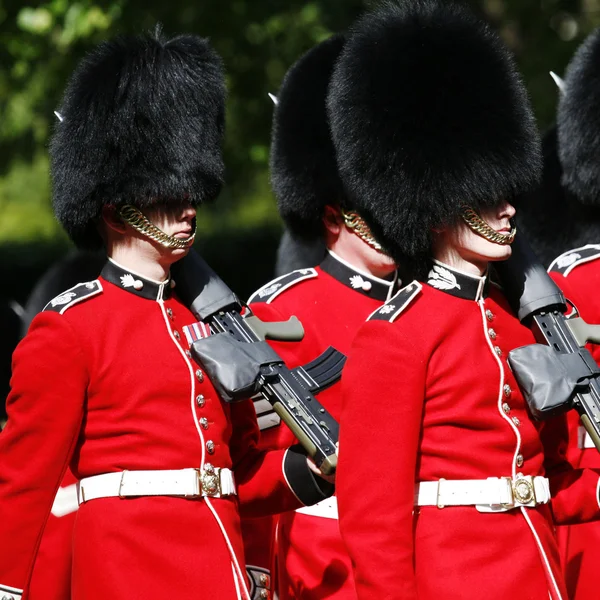 Queen's Soldier at Queen's Birthday Parade Stock Image