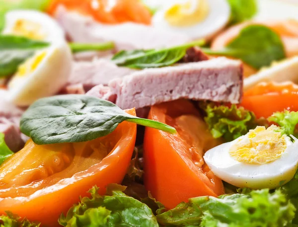 Fresh salad with meat and eggs — Stock Photo, Image