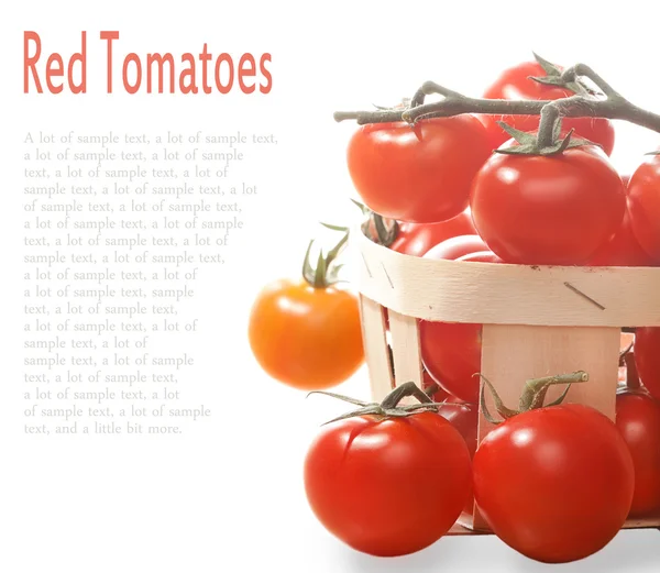 Pomodori in cesto isolato su sfondo bianco — Foto Stock