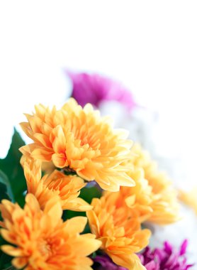 Anneler çiçek renkli makro arka plan