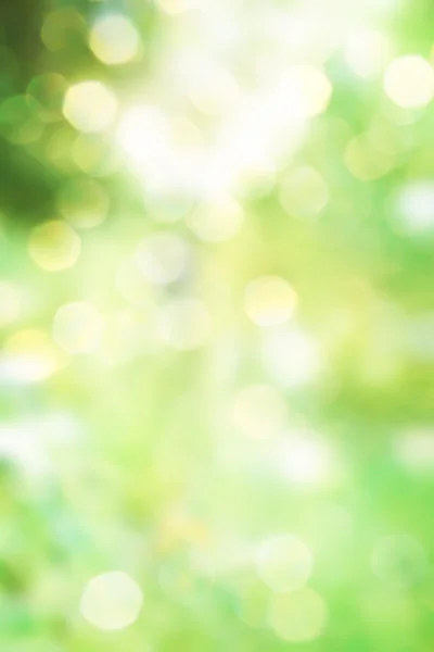 Abstract green spring nature background — Stock Photo, Image