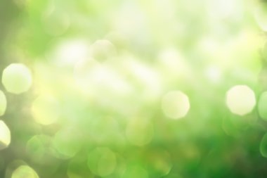 soyut yeşil bahar doğa arka plan