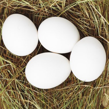 saman içinde beyaz yumurta