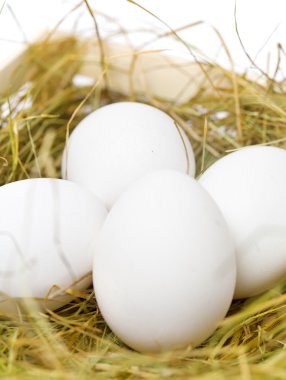 saman içinde beyaz yumurta