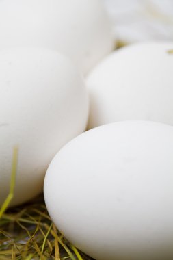 saman içinde beyaz yumurta