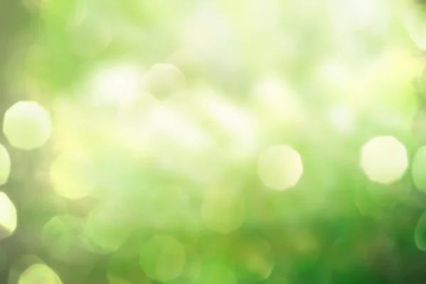 Abstract green spring nature background — Stock Photo, Image