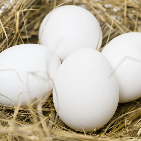 saman içinde beyaz yumurta