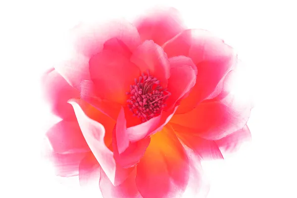 Rosa Kunstblume isoliert auf weißem Hintergrund — Stockfoto