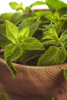 ahşap tabak içinde nane yaprakları