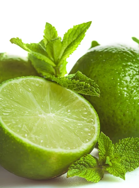 Lime and mint isolated Stock Picture