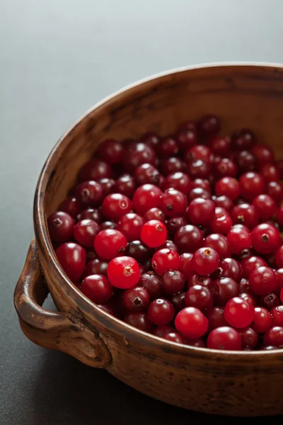 Cranberries em prato escuro — Fotografia de Stock