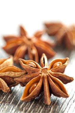 anisetree baharat