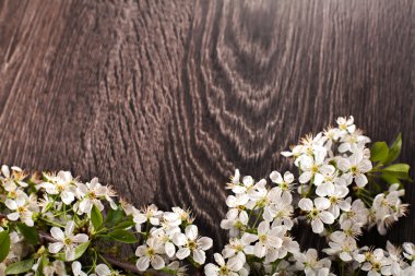 koyu ahşap arka plan bahar çiçekleri