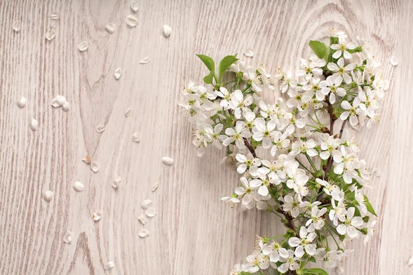 Spring flowers on white wooden background — Stock Photo, Image