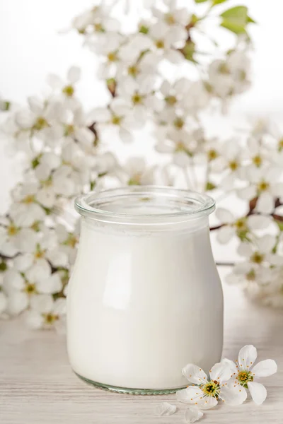 Yunan Yoğurtlu taze beyaz çiçek arka plan