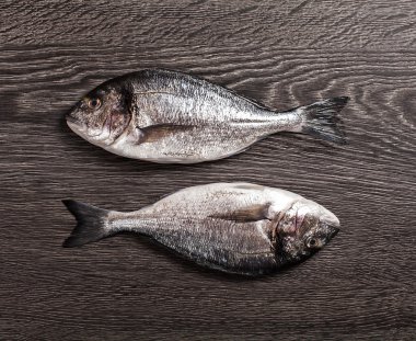 taze dorado balığı koyu ahşap zemin üzerinde