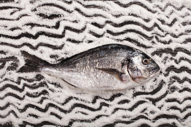 tuz ve koyu ahşap zemin üzerinde taze dorado balığı