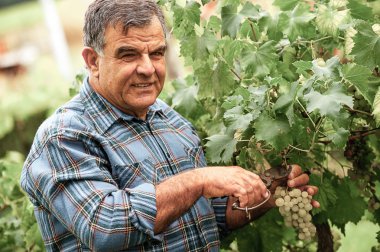 üst düzey winemaker twigs keser