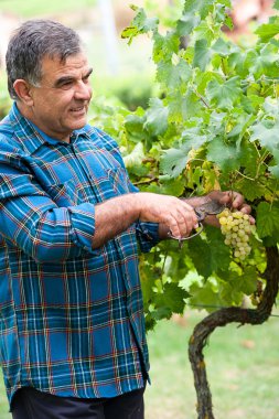 üst düzey winemaker twigs keser