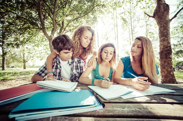 Groep van jonge student met behulp van laptop buiten, Italië Stockfoto