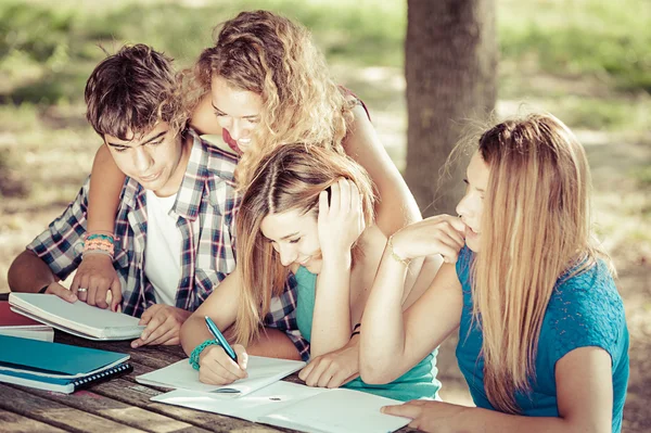 Estudantes adolescentes trabalhando juntos no parque — Fotografia de Stock