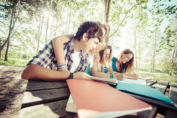 Teeneger students working together at park — Stock Photo, Image