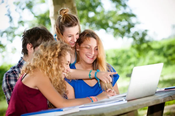 Teeneger studentów pracujących razem w parku — Zdjęcie stockowe