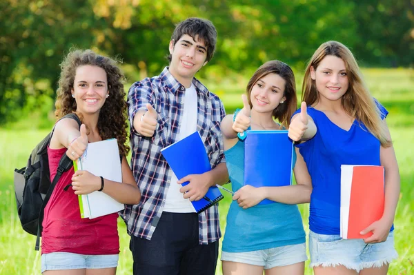 Joven grupo de estudiantes felices mostrando pulgares arriba firmar juntos ou Imagen de stock