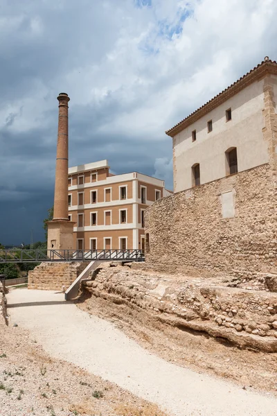 Berikning i amposta, Spanien — Stockfoto