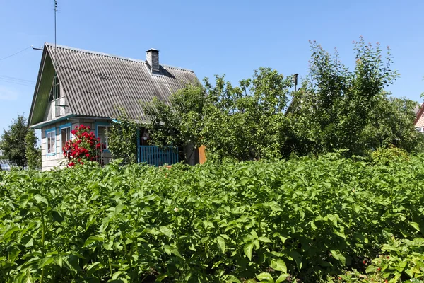 Загородный дом в солнечный день — стоковое фото