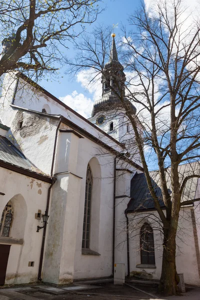 Cathédrale dans la vieille ville de Tallinn — Photo