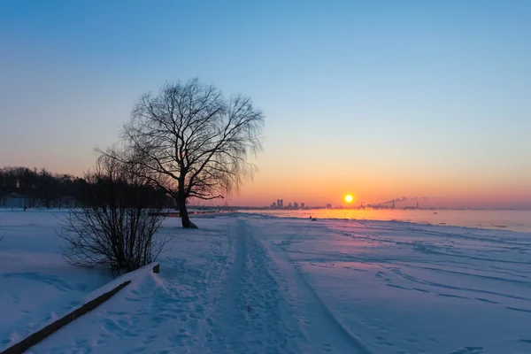 Tallinn skyline no inverno ao pôr do sol — Fotografia de Stock