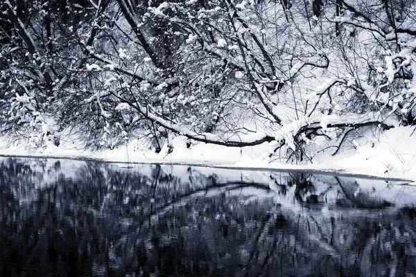 Zimowy Las rzeka pod śniegiem — Zdjęcie stockowe