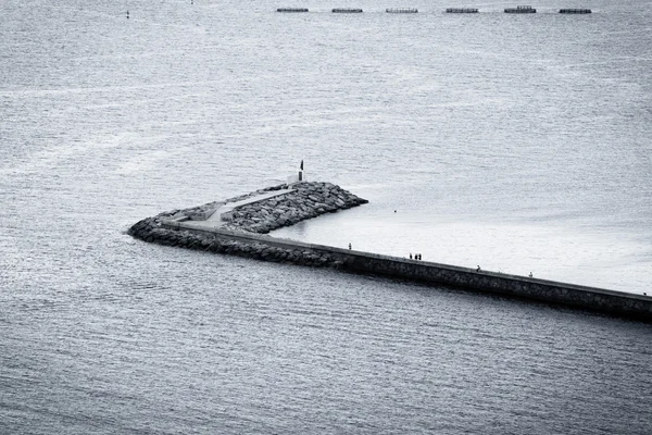 Black and white pier — Stock Photo, Image