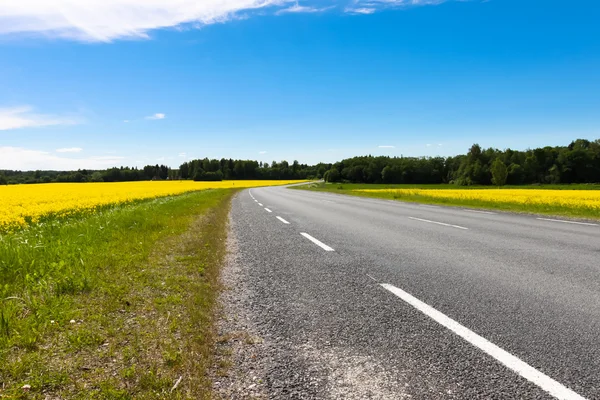 Countryside road and rapeseed field — Stock Photo, Image