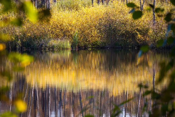 Autumn pond reflection — Stock Photo, Image