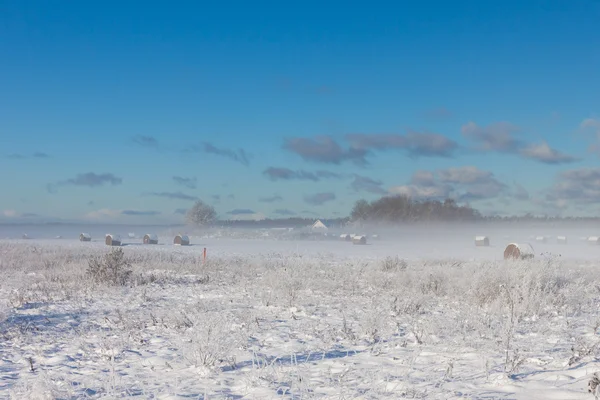 Fardos de feno nevado no nevoeiro — Fotografia de Stock