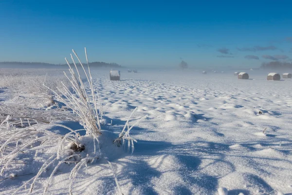 農場の近く雪に覆われた干し草の俵 — ストック写真