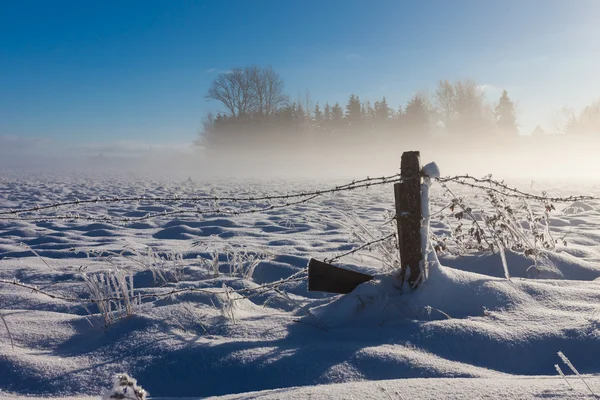 Cerca de arame farpado com chão coberto de neve — Fotografia de Stock