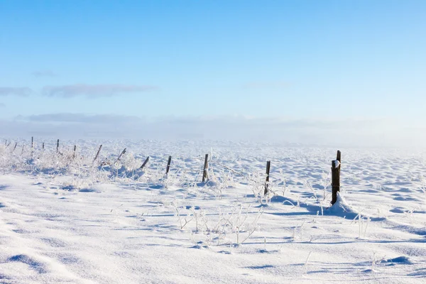 Cerca de arame farpado com chão coberto de neve — Fotografia de Stock