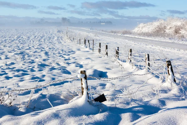 Winterlandschaft mit Stacheldrahtzaun — Stockfoto