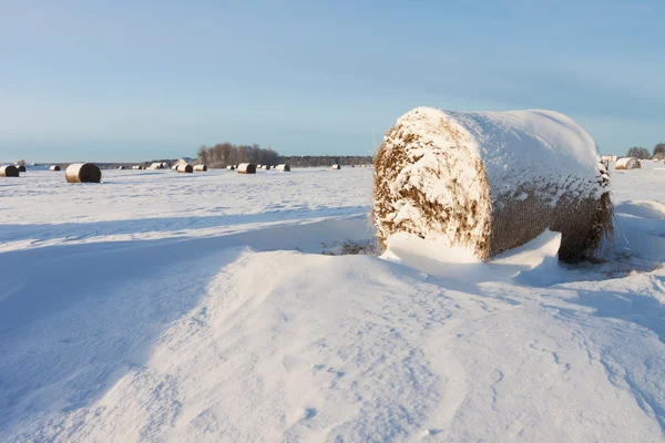 Heuballen liegen im Schnee auf Feld — Stockfoto