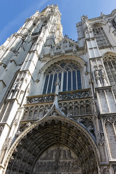 Исторический собор в Антверпене — стоковое фото