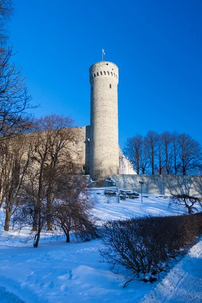 Toompea kule üzerinde kış günü tallinn, Estonya. — Stok fotoğraf