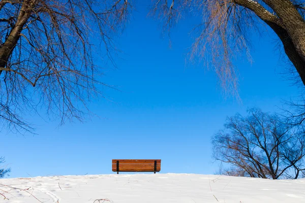 A frosty and sun day is in park — Stock Photo, Image