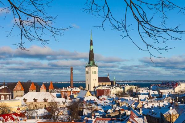 Tallinn zimowe miasta panoramiczny pejzaż — Zdjęcie stockowe