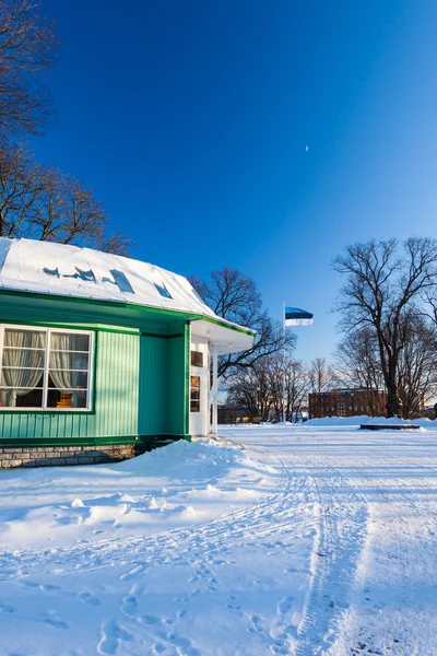 Hiver Tallinn vue avec drapeau — Photo